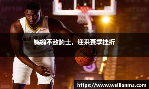 鹈鹕不敌骑士，迎来赛季挫折