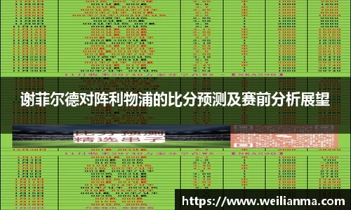 谢菲尔德对阵利物浦的比分预测及赛前分析展望