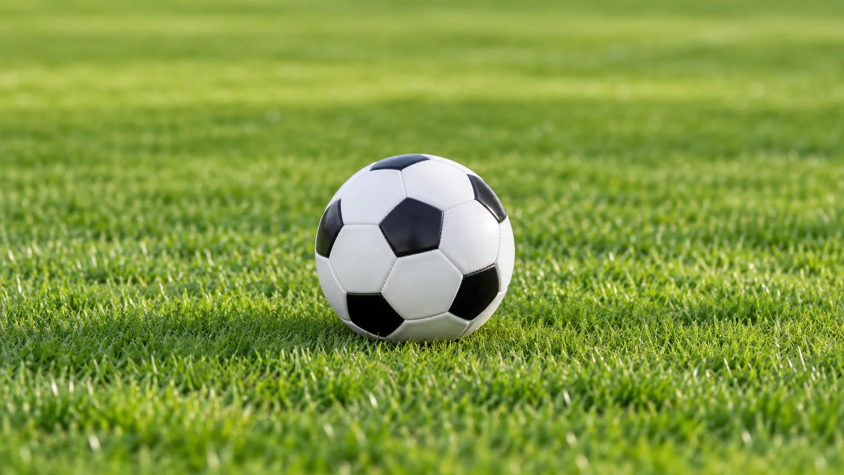 bv1946伟德官网